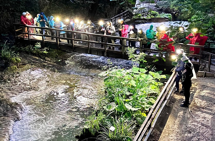 Visita notturna alla Cascata delle Marmore